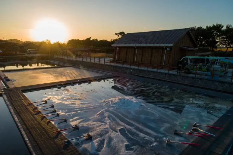 Type1_%EC%8B%9C%ED%9D%A5_%EA%B0%AF%EA%B3%A8%EC%83%9D%ED%83%9C%EA%B3%B5%EC%9B%90_%EB%91%90%EB%93%9C%EB%A6%BC_yYPBra.jpg?type=w773