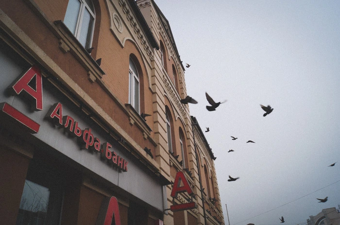 DSC01753.jpg?type=w966