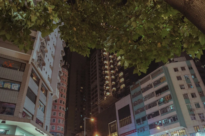 99C0C9415B5AADB319.jpg?type=w773