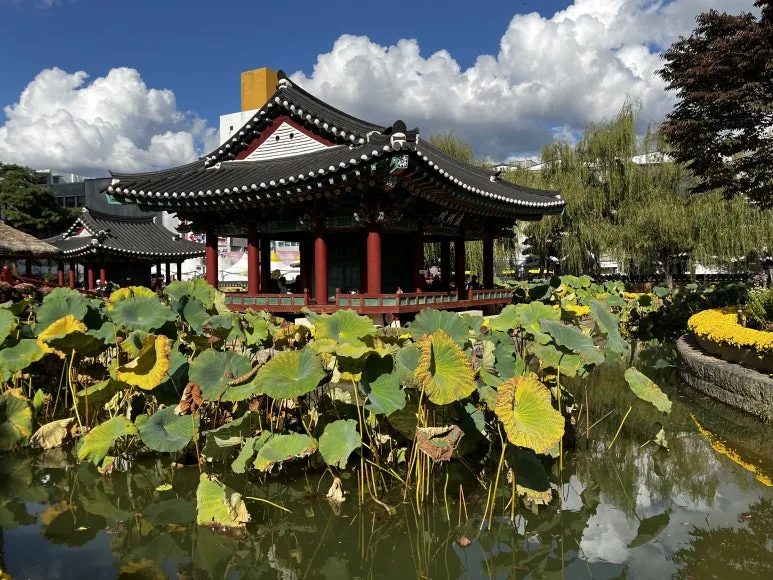 IMG_5910.jpeg?type=w773