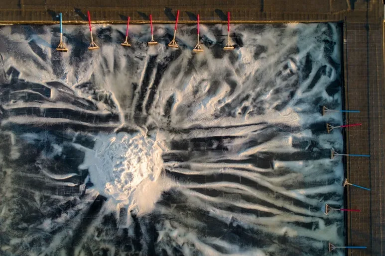 Type1_%EC%8B%9C%ED%9D%A5_%EA%B0%AF%EA%B3%A8%EC%83%9D%ED%83%9C%EA%B3%B5%EC%9B%90_%EB%91%90%EB%93%9C%EB%A6%BC_yYPBqa.jpg?type=w773