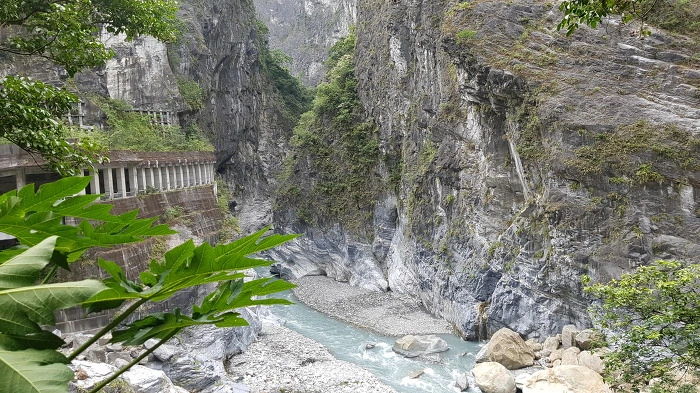 9982704D5B59CA6E24.jpg?type=w773