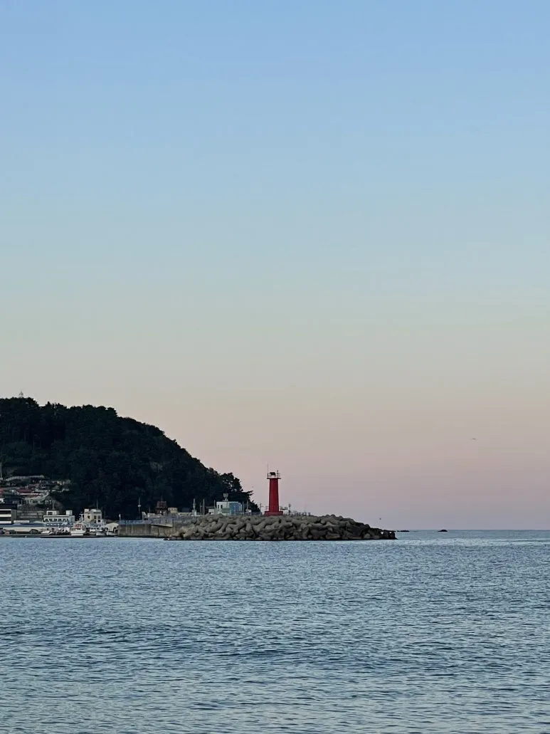 IMG_7089.jpeg?type=w773