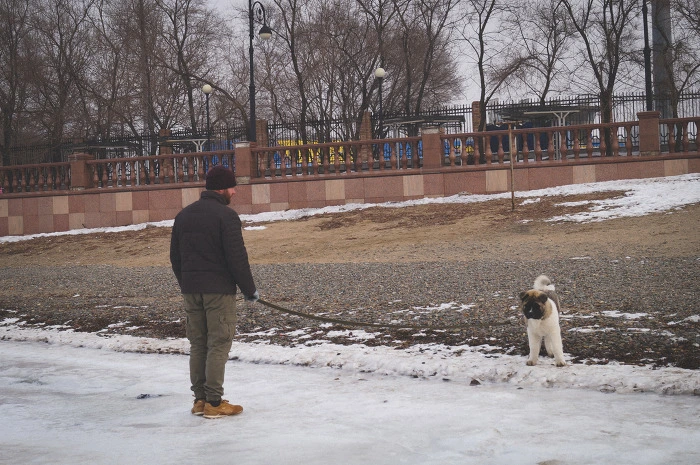 DSC01564.jpg?type=w966