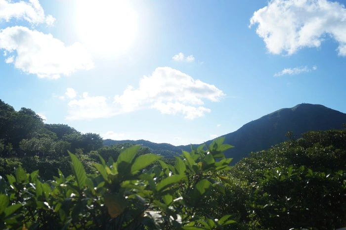 994D4C4F5B59C22B15.jpg?type=w773