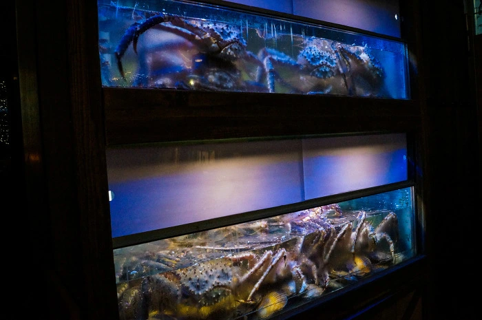 DSC01887.jpg?type=w966