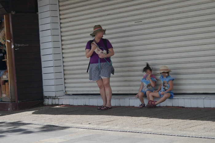 99D5093D5B59D26801.jpg?type=w773