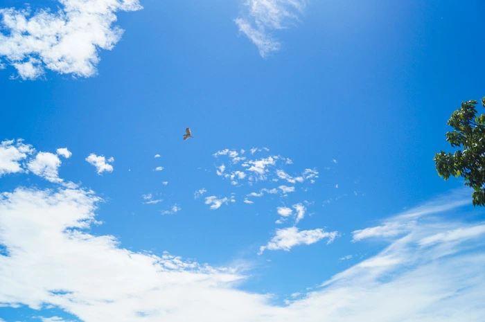 9988523D5B59D26129.jpg?type=w773