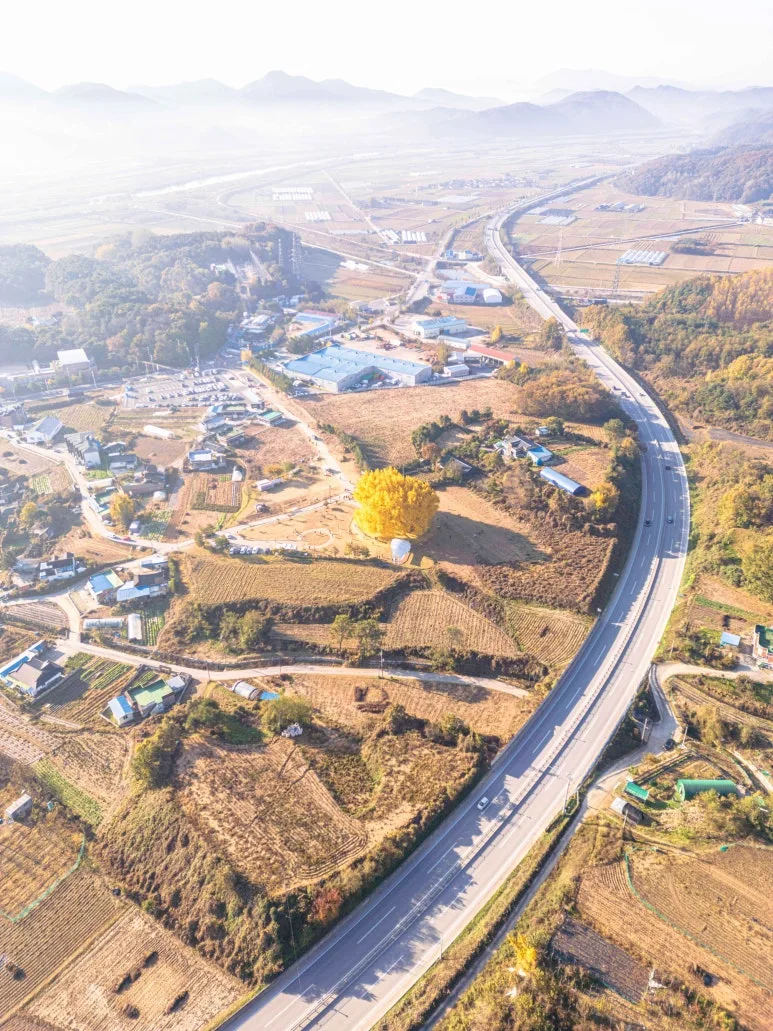 Type1_%EC%9B%90%EC%A3%BC_%EB%B0%98%EA%B3%84%EB%A6%AC_%EC%9D%80%ED%96%89%EB%82%98%EB%AC%B4_%ED%99%A9%EC%84%B1%ED%9B%88_D4Mx1O.jpg?type=w773