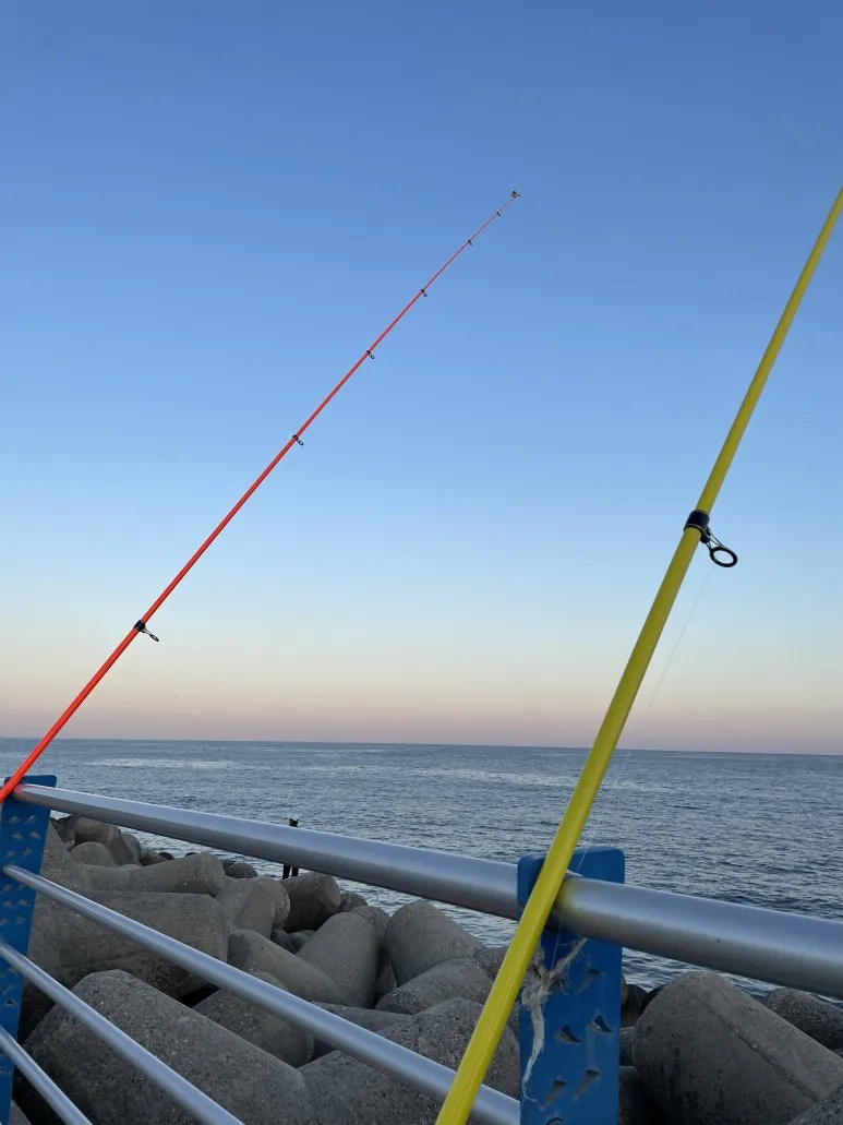 IMG_6998.jpeg?type=w773