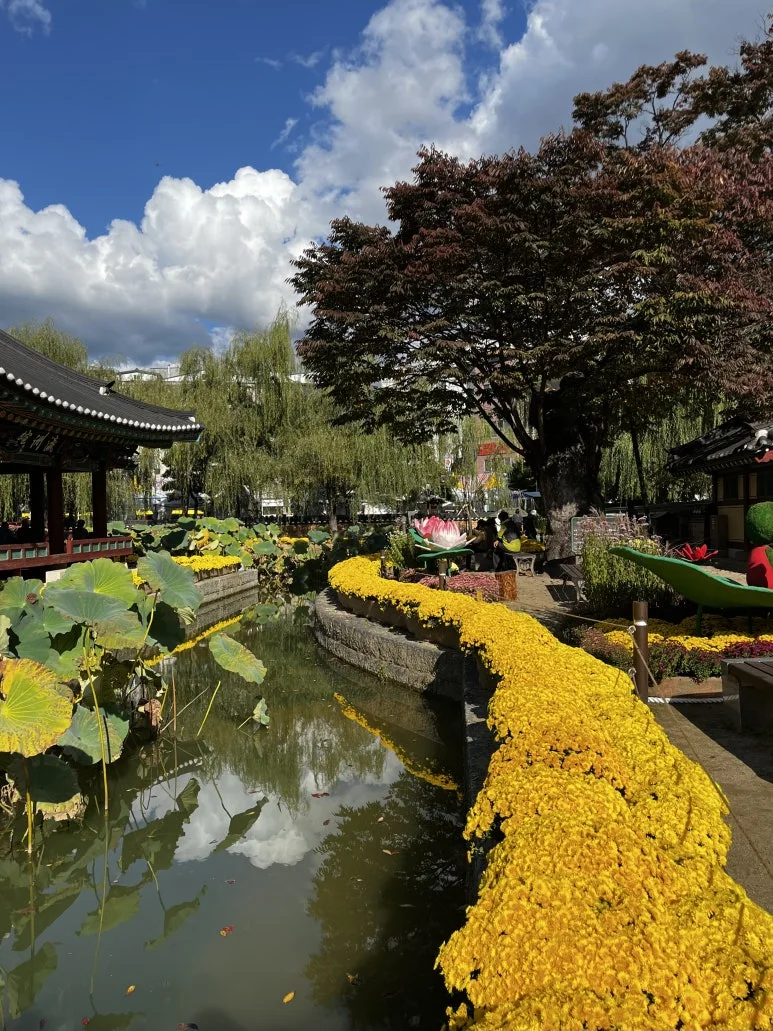 IMG_5907.jpeg?type=w773