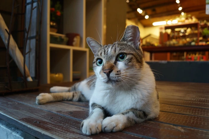 994D95425B59C58003.jpg?type=w773