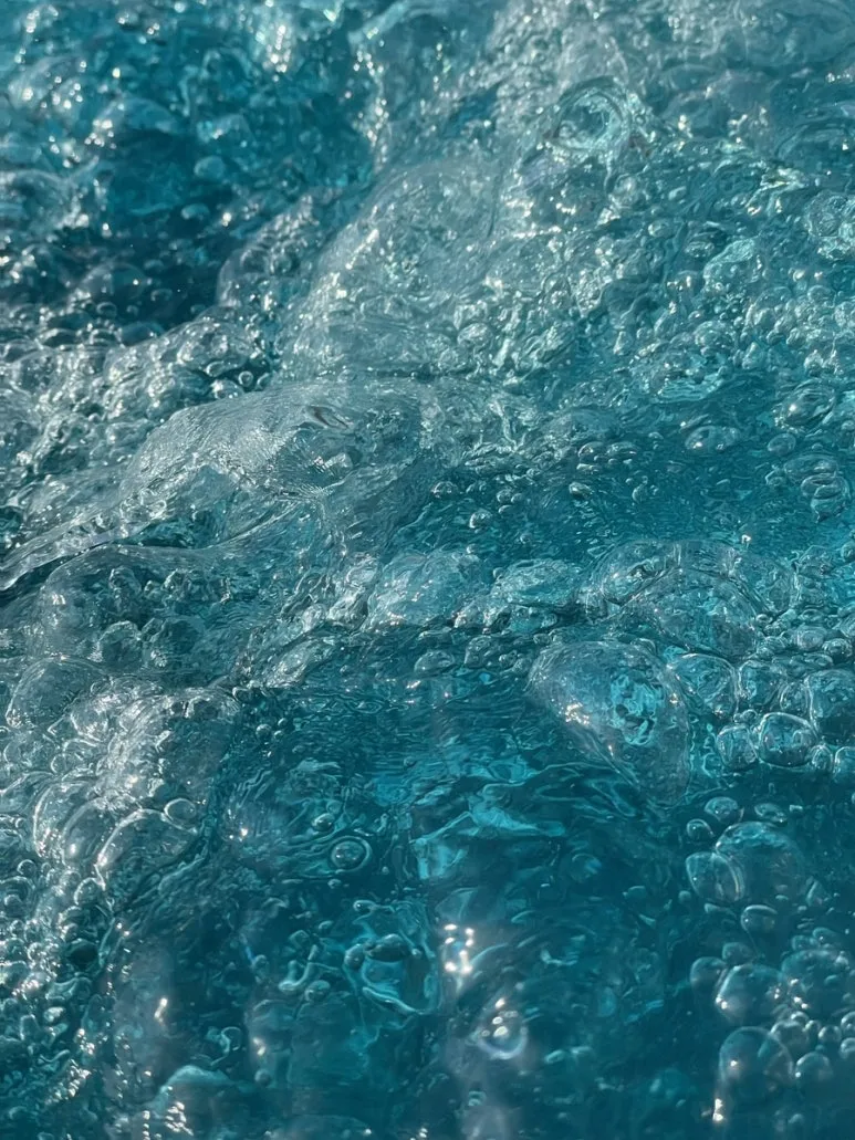 IMG_7981.jpg?type=w773