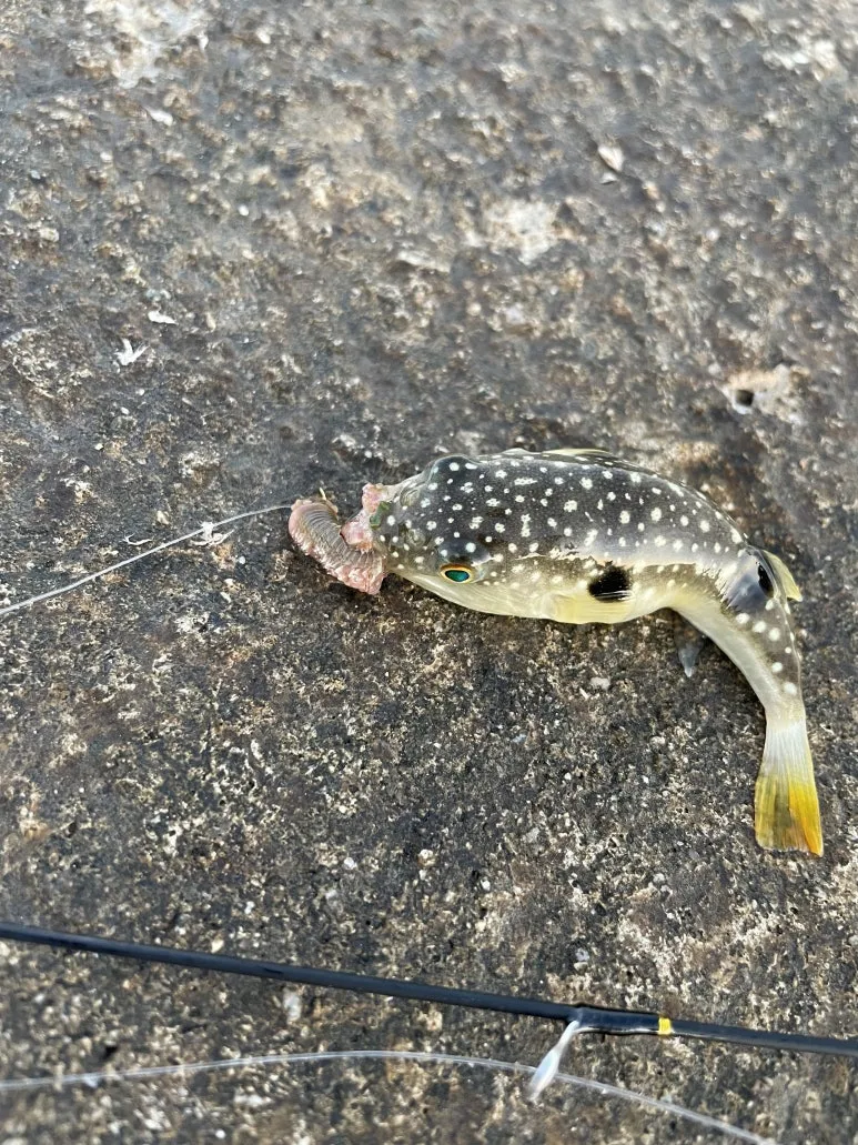 IMG_7092.jpeg?type=w773