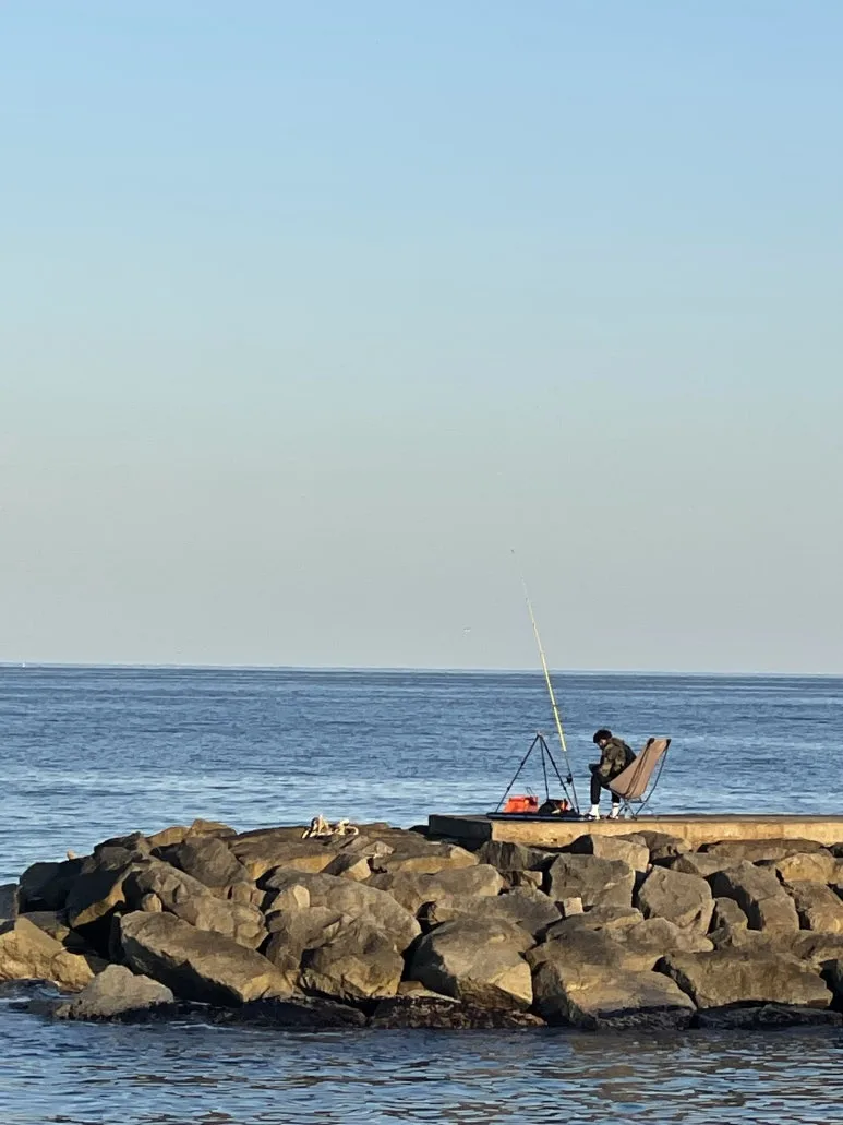 IMG_7078.jpeg?type=w773