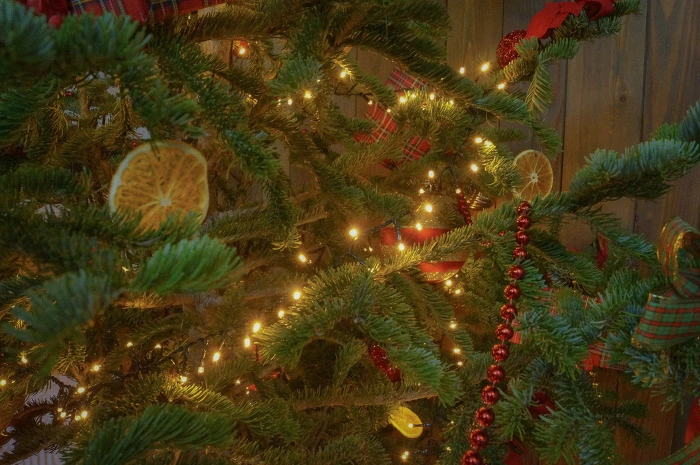 DSC01940.jpg?type=w966