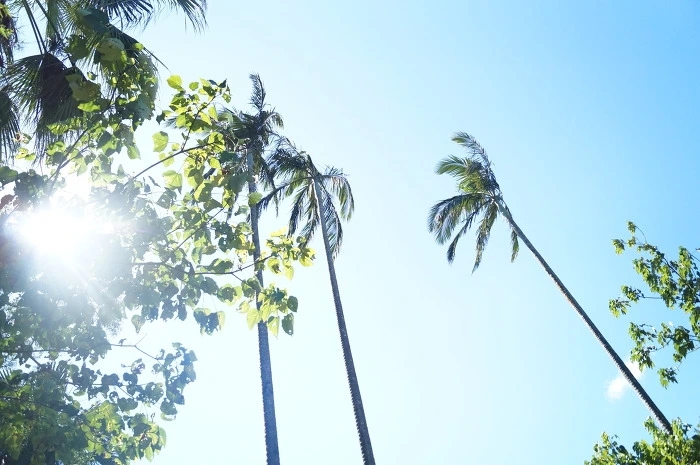 99A9D3425B59B54142.jpg?type=w773