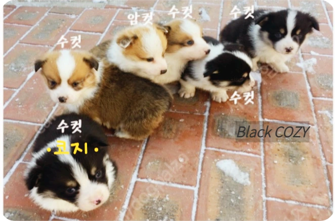 SunpI7sd1mCOsZWRmK9-1pQkgXA