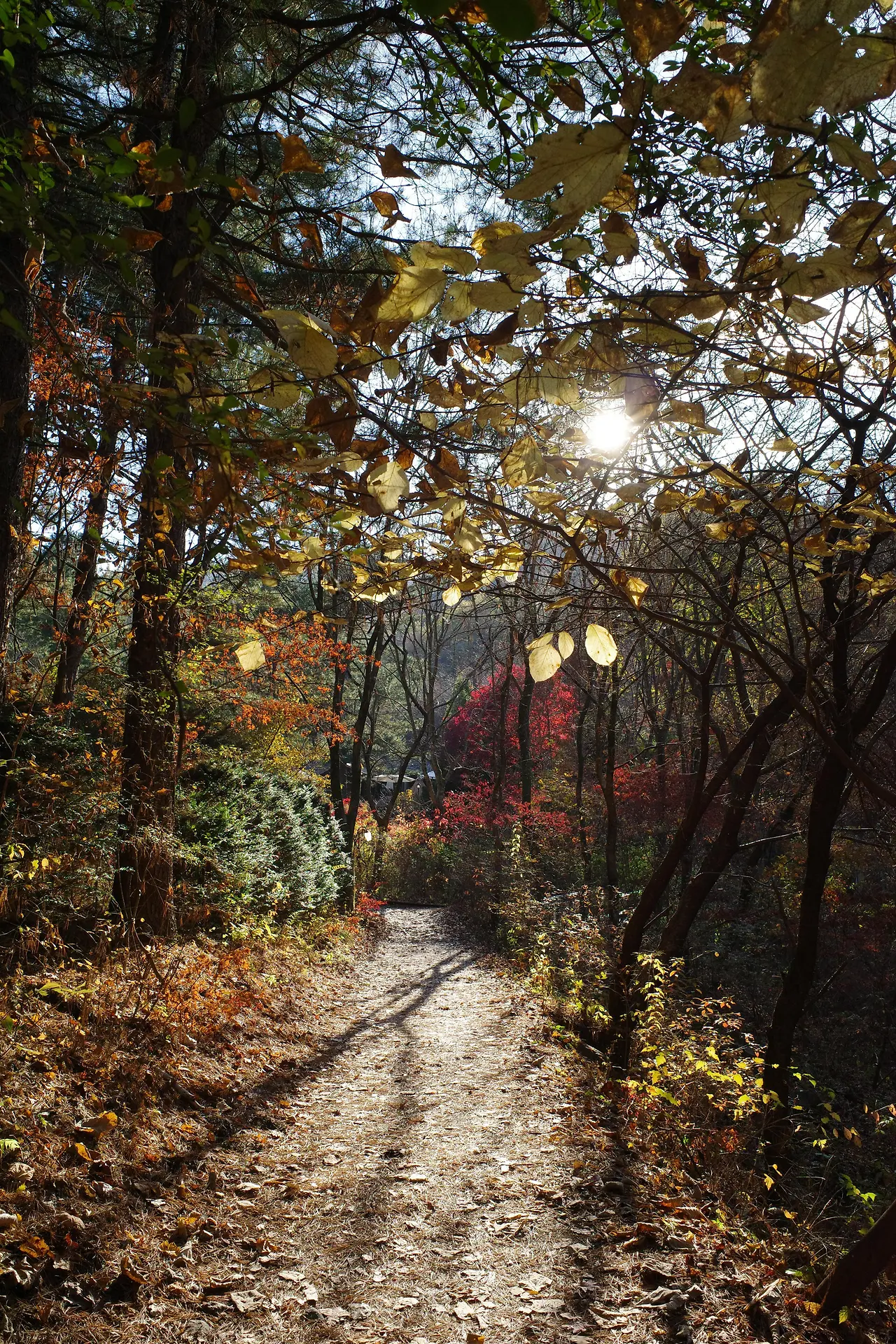 img.jpg?credential=yqXZFxpELC7KVnFOS48ylbz2pIh7yKj8&expires=1753973999&allow_ip=&allow_referer=&signature=c5Ig216xtW1MF%2FnSh%2BQFEIJtmc8%3D