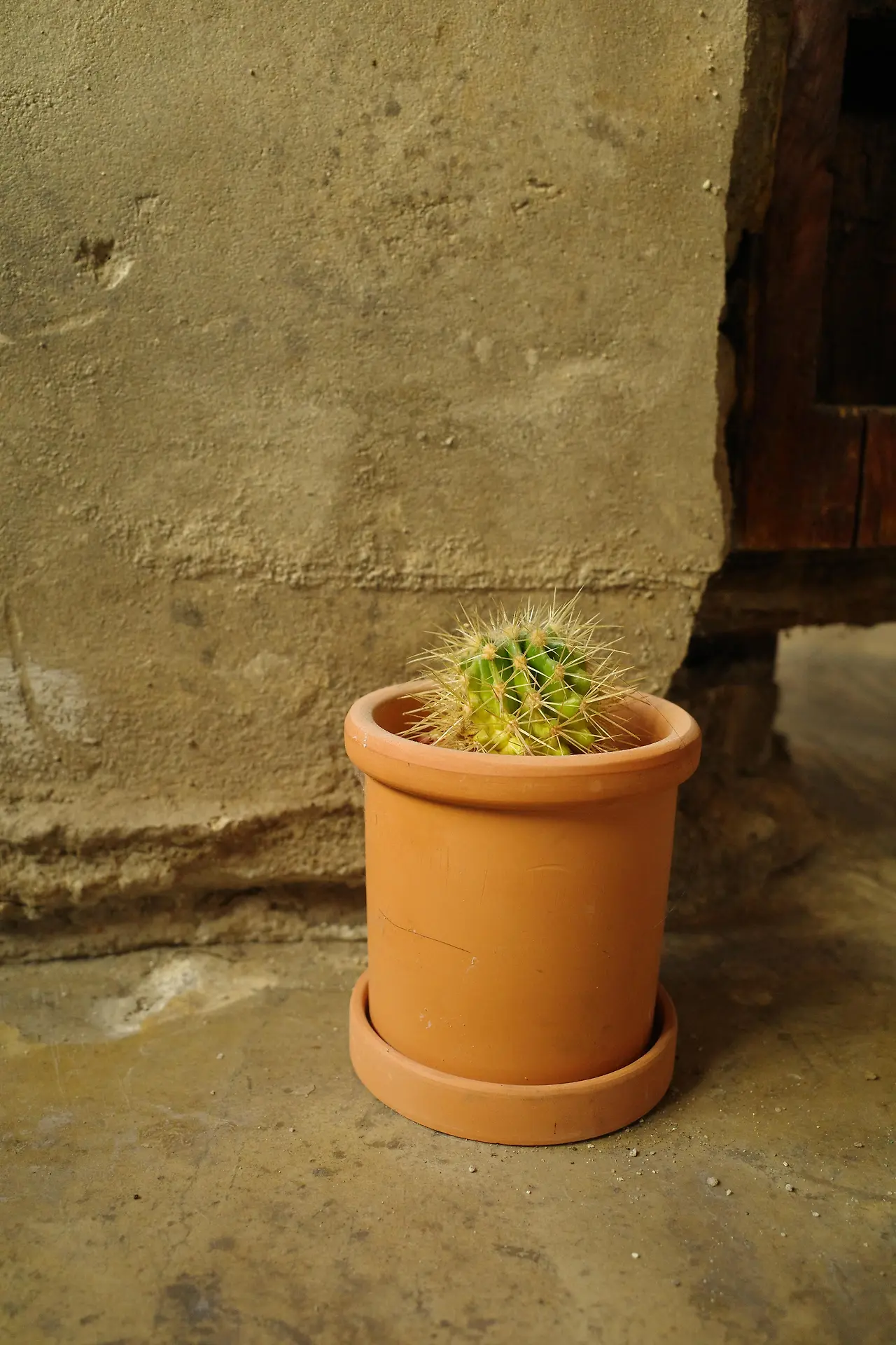 img.jpg?credential=yqXZFxpELC7KVnFOS48ylbz2pIh7yKj8&expires=1753973999&allow_ip=&allow_referer=&signature=6bT4k0LWlpfrQCBvijVFUi9IjxY%3D