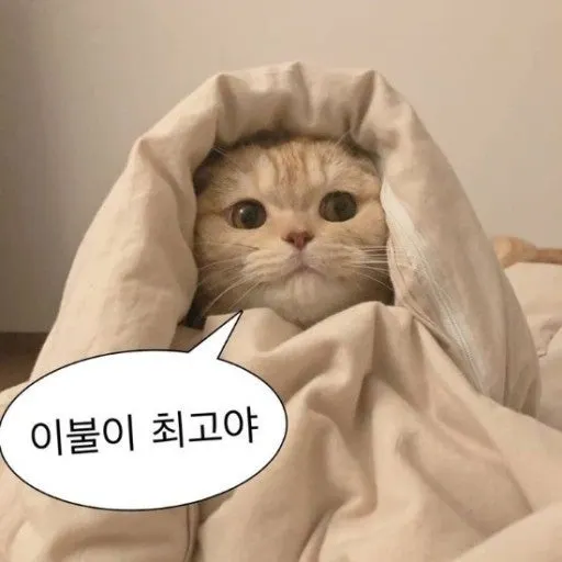 %EB%8B%A4%EC%9A%B4%EB%A1%9C%EB%93%9C_(3).jpg?type=w966