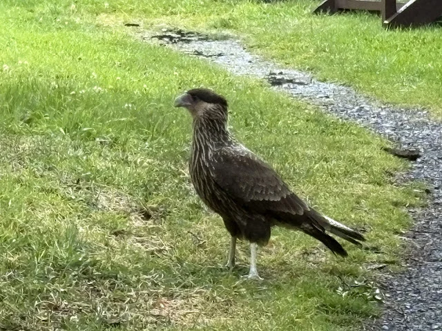 AVvXsEg6vrNbMfgkN5qgfhqlTqnhxxRt8Ykdpov55tiXLgmnEpBpCKJKNcNO-hyuhiNsNboKPkZSF1_tHu6NvXfKEMrAS2GqlKS20c34QqZLhrqHawdZ9bNarWkE7JMs_8wzf30dJACtSkfSHhf-IW6z0PaYUC4sl5_lLJbPhKeRr2-Zce1g_bpLon4IlAaiZqhF=w640-h480