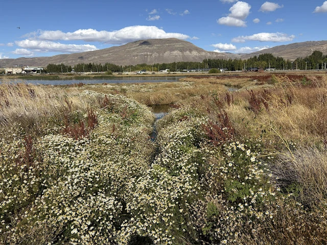 AVvXsEiBks_Z6eDNj7F2kByCz8j6tKW-oyTrUPJrbNvVOmOjhnzdeVerJudNTxRcq2Xc1JthETrKssN3gLa60LEk41iF7sFhe6DzIkfoL26zvFuktyrRiQLo7yhxPFckqdvBFFjl9fOgnEfcN__vRJXYS3oqDOt_tNX0ACHOrgryhw3FqSmDeEo9hPnhdRvIRlpf=w640-h480