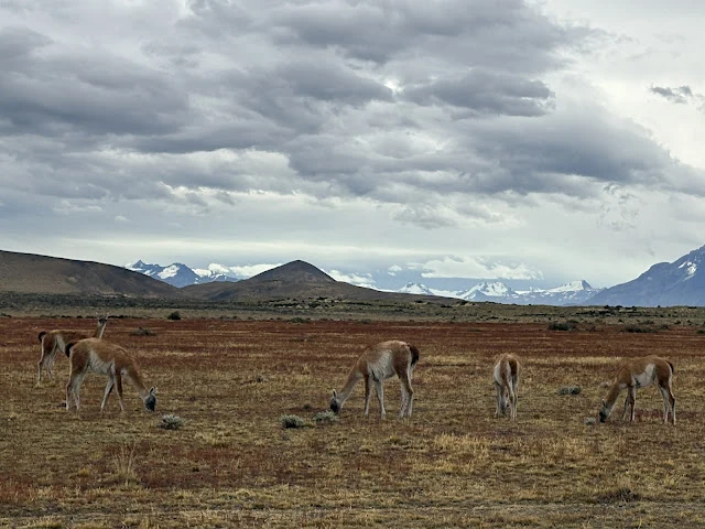 AVvXsEjJ6IYeMrmqbyk3J1g0tl3XxrVzo8jdhvwK8apdQEQRbWcEhCX35MWnsihW0Ih_-Mvuafoz65TeyoLR3zlEHzMEcbajW-XUbjpDvKv_vQ69AK_2YRfhSvhnfcWqqh9o6_hhDUXT4lAcGwDJ34i13NXJLWkkeCsZj06lkGt0eiaxtLWgz6AxWIu7TCI3Ks4x=w640-h480