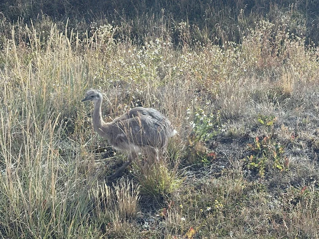 AVvXsEixUFdM2A83W_6PfRQA6x6RMzpdhcfofkkfj8Yyj4SFELbufrWniE_ywFX53X90dYNE65jM2uTDOqseD8YiviL0pMMGxl7ZtDGr8acAFYI9MZvipqr4-ntbzyg22NABQSB7mAwraMbCvtfEyCzIrun8ogqosE8KJ5_hHjrDEpPIJNvkFDf4tZ-nLLANwXZH=w640-h480