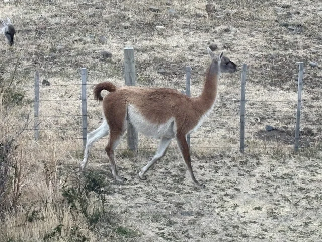 AVvXsEjSyyaUYZdfv0aFiwVXF-gx6diYwfCRWRC1vHKNYlQyG3GMOC7XIXU1jSLzOa_V33FGyiK2aH57LGErifVk0Wmnl6p45EnsRE6PuVFjVbwid431ZpSXs4ddG6kdljIMnxRBzeUEkYMZxH50VHIUldwSWCDFOT5uv5fjyx3eLroA1Oftvj5OrzHWqMkWx6IT=w640-h480