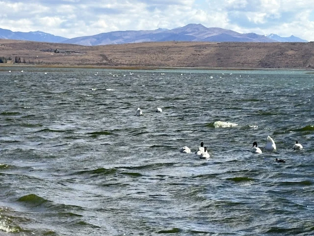 AVvXsEiXnbpEtxh2lbH3TKVZ6Xl5TkCS4JYCjnk8QuH3orJKjCXLsjxvGcWcyvk95nTYiALRqzvNf3816ogGA8w-Gx8IOenlCb6pyIkJOCDlk5N2aeDv1zNHSH8oSQTyUy2wssasSqAEiV9YyD3WYAmVBcFH9bG94PKKzFoAibkV3Uz75XbdGAgAqa7K-Jw8CVbI=w640-h480