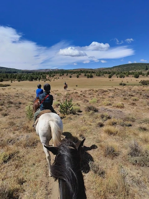 AVvXsEg65t3LHUEHnBW_YoSaaoSr7KlbUWafvoSoPDSrhtUIF_U4ROqJ_DtTAXSQ5KLzeth6zOPHCse60pvPcKeRXV-jhJjFv_t0A2LA0hcJNjJi8ddzrY4niw3R28fSeo47pxkkcYw3Fs5CnH9Mp9LZShHEvIIyNhTwhVQ6FW5U8EFj9Gmy39jN5Ls_-slvxEjX=w480-h640