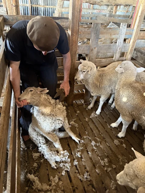 AVvXsEgTauzNYxxJGYiryCXEgn1Dhw2zUFPwC3TcxgUsGCIw-rnhkzBOW0e4sNqD2QByhy_J1O-DKbR8sCReppwNdfb8ehfoU42SbYS2gxbxdf85wiUV6VXG1_NJUP4CzuMIEJ8qbLLkL7Nudq-WfKV8gVcOkyLenKZqyOXfQM-6tZoN40_5SVn4EF91789bNdD5=w480-h640