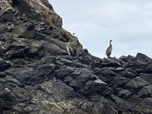 AVvXsEhdZD8HOH9-YHF-lQjkhCMyjSygfh8RdfSff9gZ-GdGRe1fMHAh5svswLF2-9i1TVa4p4FLlyGGS0Kll37A4A7ApbRkBoLUq4WsSGUsch9z_ilqano8MzZ0JBqWSqVEAmoHeLPjE2k7CLAiwSvDKKx2C6sEpGBijvMvGmNZze97Nt0zjfErbvQ2QTnIWUK_=w640-h480