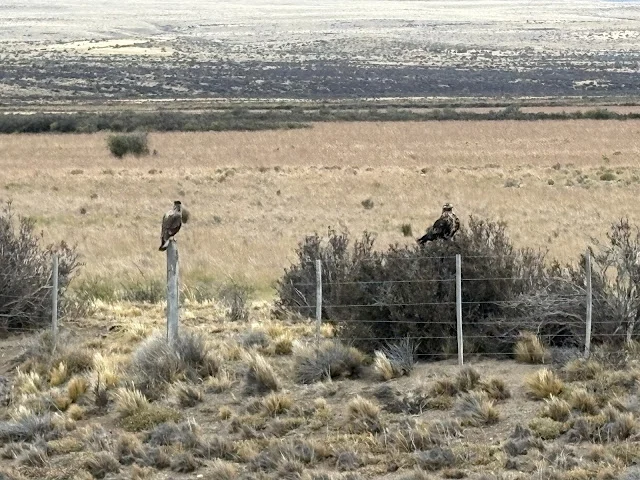 AVvXsEhy8GcsjCmpiEcmhREVlXqtlAkHEd9r-dfK7oiNH96SFnWP9R33bDR0Ap9xhEGSitdkm1gYDAz4YpI4vLfjLDagzxkCSkEPR_I8pUPGSGVyiEB4CQu7k1_UGHuFNJwRKUj-nZfvqmTJML0T0We-BxBkDo1ac-THjizKwSMROQu5BKPXLkPcOfgyjzhUbgsz=w640-h480