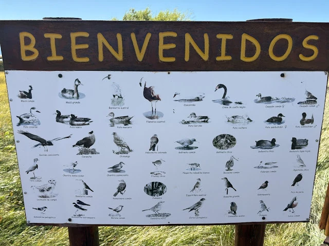 AVvXsEg3w-X8KjRAYrmQRWwlURJdbPw6N9A0zWsGMFF0Jfh1ty7QtptQlD5ybVKX8Puv0ZQdfdyxvg-1-fGcHIDW-XaZ0jwMI7AazkYTYCywNBwVo9YppLXM6m7FJnN1jvvdL5C5ErjLZtEwvbkh2v1V7ta6hD5AbVesoykVM41cdKkFSk1GqK-RIqLOXCefhYWg=w640-h480