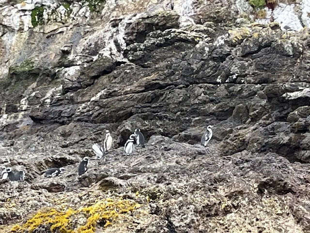 AVvXsEjk-EhmcFV_yiBFtogXwPPxkVhdWQie4DKzHfe91OCYwJEICf0MsxRDxJdtN5u8bFBPUuGHDG7r78ouJ_fwwNDbNFgcRiGCSMqiaIAAJtGwWLekMByb0OU9URNyAuveMryGLPHFWv6KGXbqbCrbGixcZk539D8xFpNyUemRllclOzGBy7L3h2SGjf0EnNIt=w640-h480