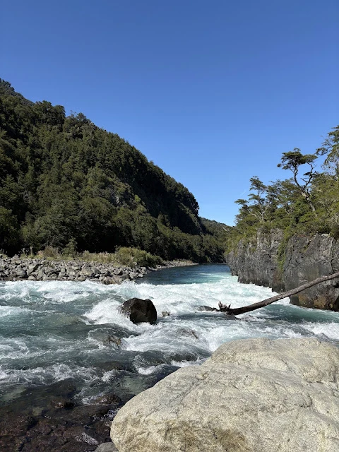 AVvXsEhGn4pg19lF4bvacdfVSOPQIXEm7gRd7TqwJNeoCdNN5Y6gH-gDHiG6biprf8YoO2LLkRpuKEzqXIDZwowG-angWmEFeki0DwsUbi8ePaJ4N3NRpgemtcBJZipO-DM8iriFA5_4fprVzgmbZrY0H364srH32eODXfQ2ANcGBZMc3zu0iodmOr0ca2jLZC73=w480-h640