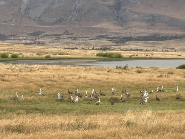 AVvXsEgM6zMDz795ySNMF39BmnMiw1a2HMCzZPOB68m8YjUb-0ViAZFQ3PwW2OBYQrg0TrY0wvWUyfbr7fm13MM2me8k2DwylTz6AREKiVvQjg8DRxJ86xYHO_HG7QM_tw65afry2sWqR-NZQPV0jTDQFxbZQbCnVhLuuN5P5AZyVnPS7wTn3j0HN1xnfCBuX5pZ=w640-h480