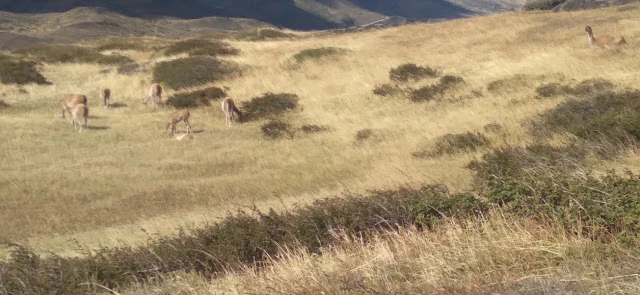 AVvXsEgCZMc8XBpjhXghHjvM6oXhHLGFW4yDEntflLfgnkVCqBk2LE-RJI4Zavf7k-v6yogPWllWNHFn-yRN4htOtjwuSA39QQG7etXV56t6EaJfOaHtEM_JE4LQ0FaKu7zNVxUOWA1K_JLb4epLJKp1hbvKmc2G67bNBwVU2wdNn65THABEKit4auJ0f49vpb_h=w640-h296