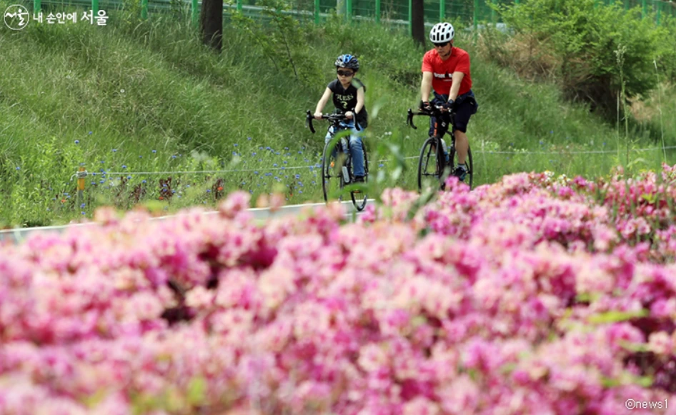 AD_4nXdwy_2r_ckVlrLLFiYJu0NpVUi6_uVl5NcC8kxL8kCWrqzWNyR73nX2dqgMPixvkIzEpejh-cSSMppyoSGqfScDcHIAiopjafJIrj2WDQRjjHQZ4H06mGug_zRKvuxiTUq1nEkplw?key=WR6yUnO-nlxzARxASUT2wR12