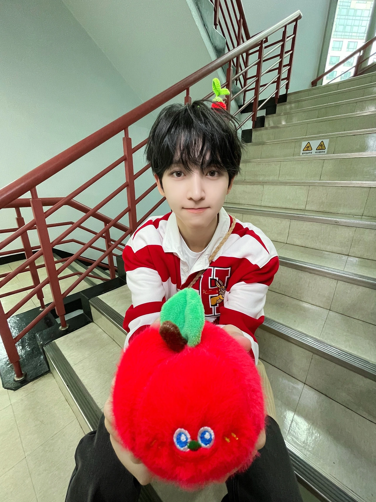 동현 사과 만두.jpeg