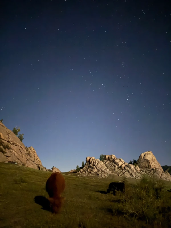 이미지 2025. 9. 9. 오후 11.10.jpeg