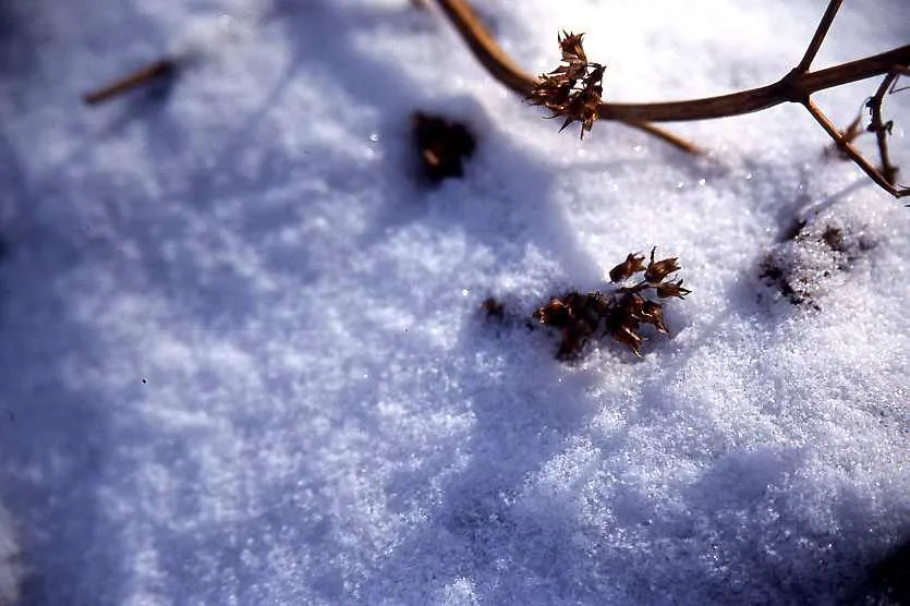 img.jpg?credential=yqXZFxpELC7KVnFOS48ylbz2pIh7yKj8&expires=1767193199&allow_ip=&allow_referer=&signature=aioNLOJHhSqGihxeALQ71Z%2F%2BChk%3D