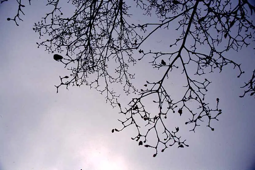 img.png?credential=yqXZFxpELC7KVnFOS48ylbz2pIh7yKj8&expires=1767193199&allow_ip=&allow_referer=&signature=eTHKDL4S%2F1CMZIKKk6%2BAD%2B%2BPoS0%3D