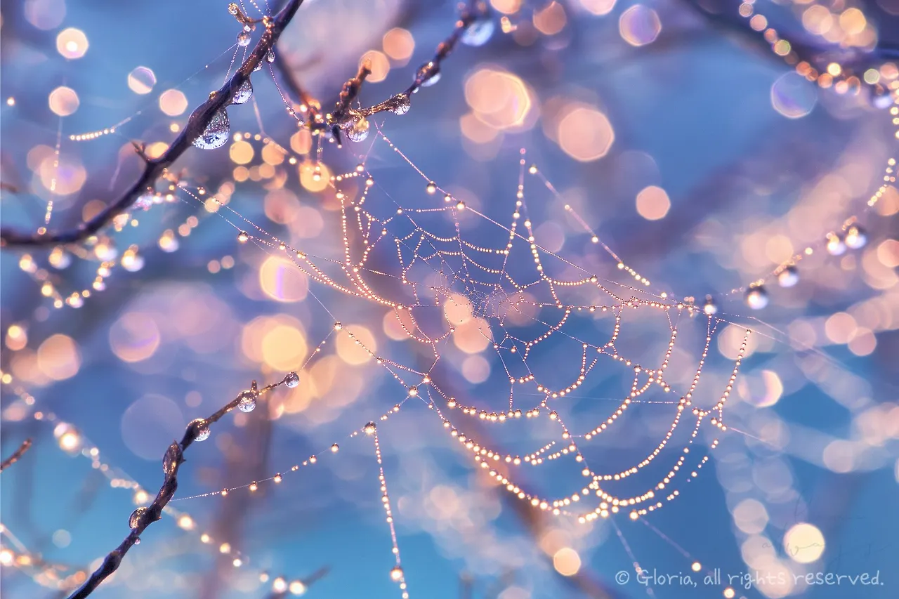 img.jpg?credential=yqXZFxpELC7KVnFOS48ylbz2pIh7yKj8&expires=1767193199&allow_ip=&allow_referer=&signature=DtKm1thoBFkIQLswoMmHfOp8aAE%3D