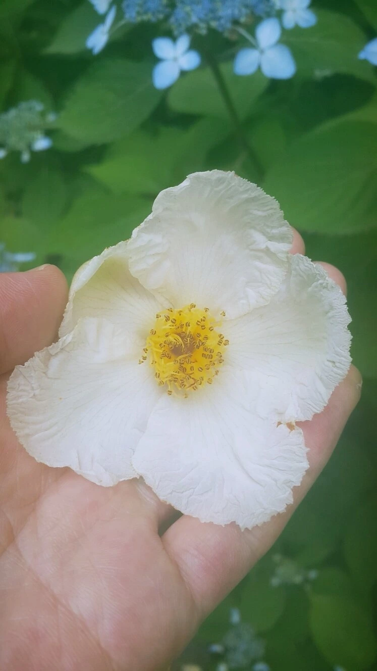 img.jpg?credential=yqXZFxpELC7KVnFOS48ylbz2pIh7yKj8&expires=1767193199&allow_ip=&allow_referer=&signature=9yov7k6yN653Q9WSY2qsM9iwoeE%3D