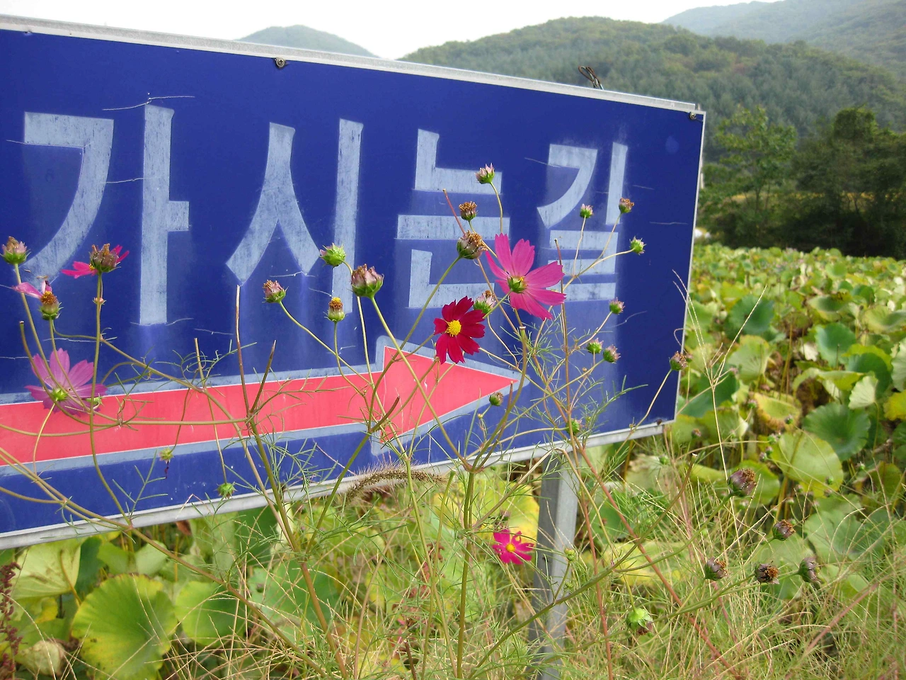 img.png?credential=yqXZFxpELC7KVnFOS48ylbz2pIh7yKj8&expires=1767193199&allow_ip=&allow_referer=&signature=0JT3ZxTPlbZyRvHBCw2d0bF8AL4%3D