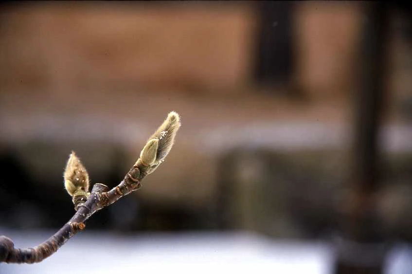 img.png?credential=yqXZFxpELC7KVnFOS48ylbz2pIh7yKj8&expires=1767193199&allow_ip=&allow_referer=&signature=I4hAcAxc4AvvBbQ8iWb6hkUQapk%3D