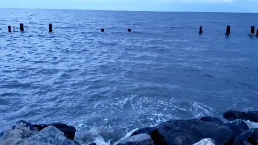 265545_uploaded_7483676.jpg?type=w773